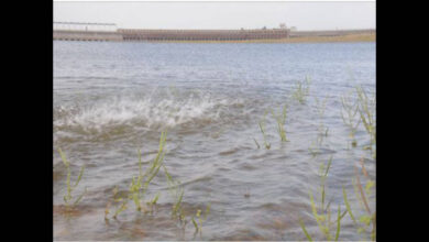Karnataka Reservoir Water Levels on September 17