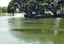 Karnataka To Clear 11,671 Acres Of Lake Encroachments, Criminal Cases Warned