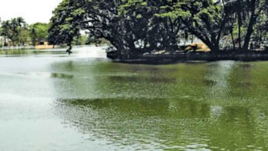 Karnataka To Clear 11,671 Acres Of Lake Encroachments, Criminal Cases Warned