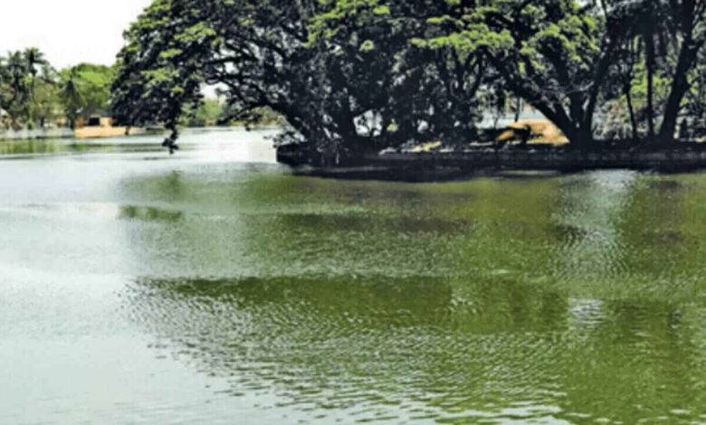 Karnataka To Clear 11,671 Acres Of Lake Encroachments, Criminal Cases Warned