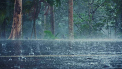 Karnataka Weather Alert as Heavy Rain Forecast for Bengaluru