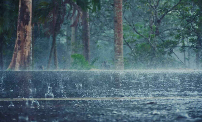Karnataka Weather Alert as Heavy Rain Forecast for Bengaluru