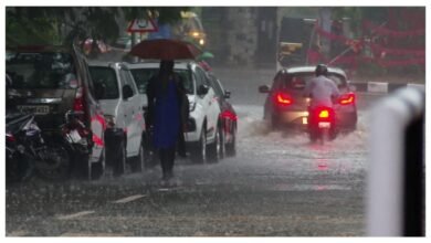 Karnataka Weather Forecast Predicts Rain And Strong Winds In Coastal And Interior Districts