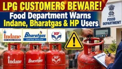 LPG Customers Beware! Food Department Warns Indane, Bharatgas & HP Users