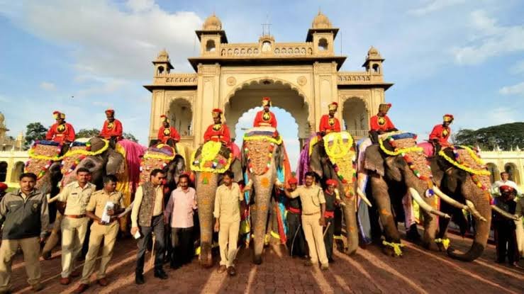 Mysuru Dasara Elephant Mahendra Begins Weight Bearing Training