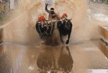 Mysuru Dasara to Get Coastal Karnataka Kambala Celebration