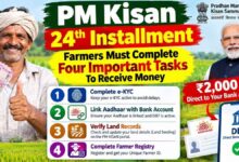 PM Kisan 24th Installment: Farmers Must Complete Four Important Tasks To Receive Money