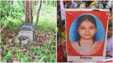 Soujanya Case Material Object 15 Gains Fresh Attention