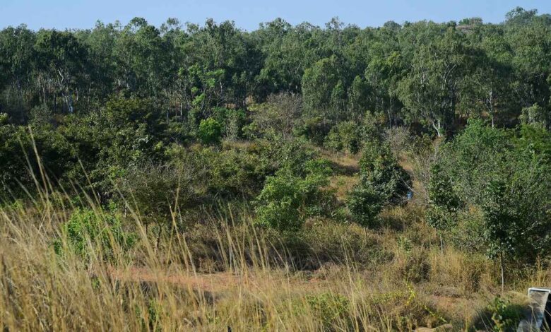 Turahalli Forest Cleanup Removes Over Two Tonnes of Waste in Bengaluru
