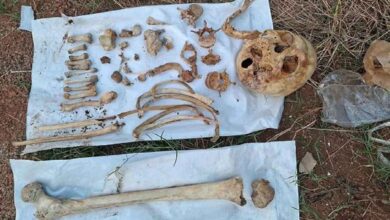Human Skull and Bone Fragments Found in Udupi