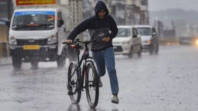 IMD Issued 4 Days Heavy Rainfall Alert In Karnataka