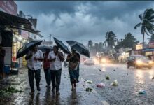IMD Issued Heavy Rain Alert For These 13 States