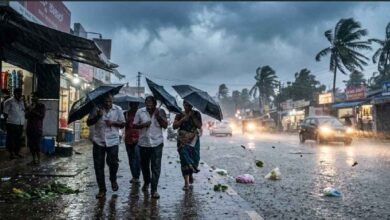 IMD Issued Heavy Rain Alert For These 13 States