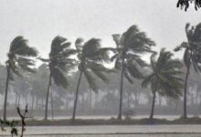 IMD Issued Heavy Rainfall Alert For 11 Districts In Karnataka