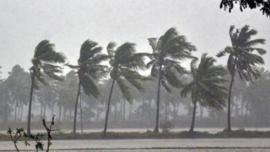 IMD Issued Heavy Rainfall Alert For 11 Districts In Karnataka