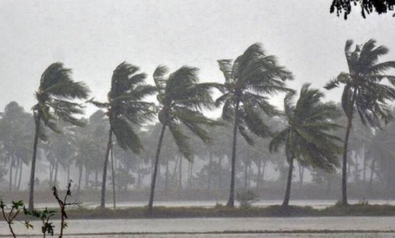 IMD Issued Heavy Rainfall Alert For 11 Districts In Karnataka