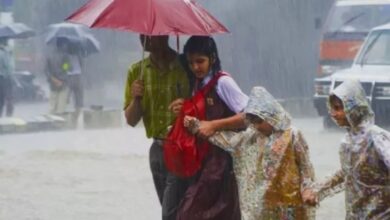 IMD Issued Heavy Rainfall Alert for 4 Districts; Announced School Holiday