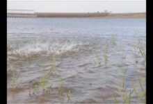 Karnataka Reservoir Water Levels on October 1: KRS, Kabini and Alamatti Update