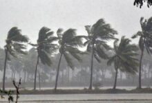 Karnataka Weather Update: Heavy Rain, Strong Winds Likely Till October 24