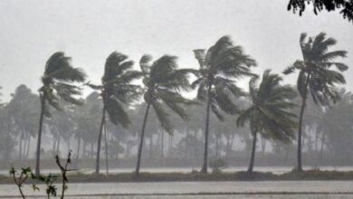 Karnataka Weather Update: Heavy Rain, Strong Winds Likely Till October 24