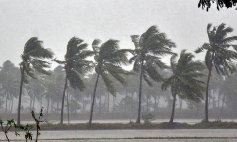 Karnataka Weather Update: Heavy Rain, Strong Winds Likely Till October 24