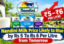 Nandini Milk Price Likely to Rise by Rs 5 To Rs 6 Per Litre from Tomorrow