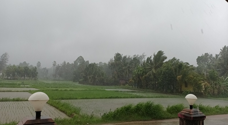 Karnataka Heavy Rainfall issued red alert, school and college closed