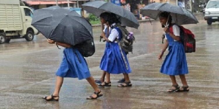 Karnataka Heavy Rainfall: school and college close today