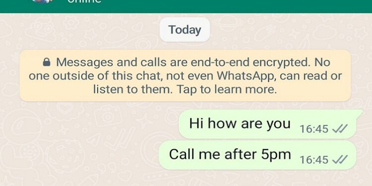 WhatsApp new crucial privacy feature: not allowed screen shot