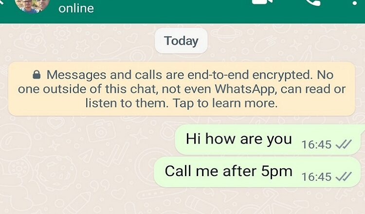WhatsApp new crucial privacy feature: not allowed screen shot