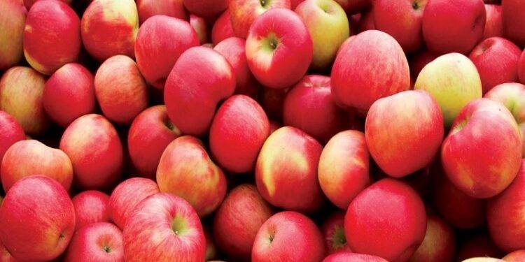 Apple Side Effects: Apple good for health, but eating too much can cause these problems
