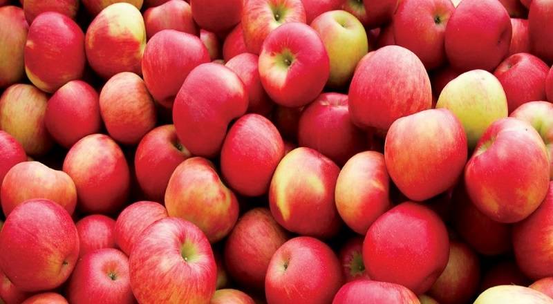 Apple Side Effects: Apple good for health, but eating too much can cause these problems