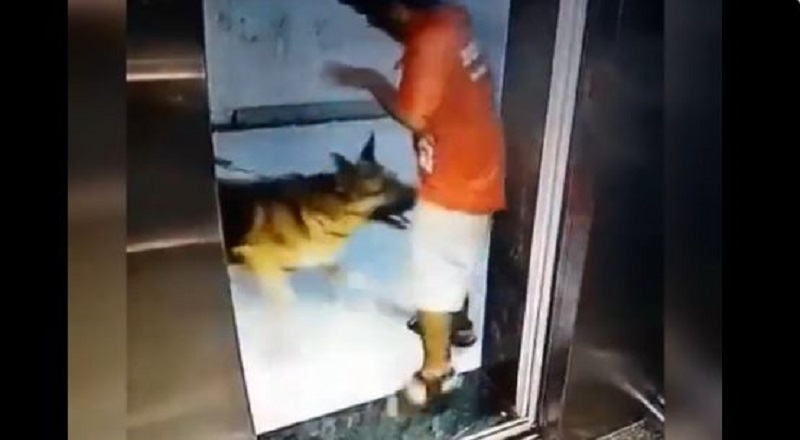 Dog bit private part of the Zomato boy in lift: See Viral Video