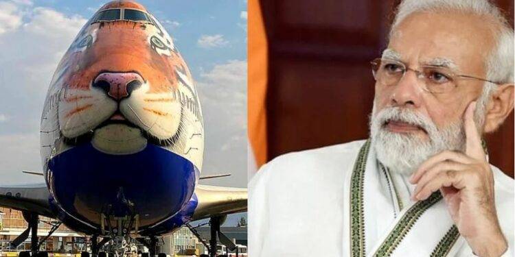 Special flight for 8 leopards ready to come to India on Narendra Modi's birthday