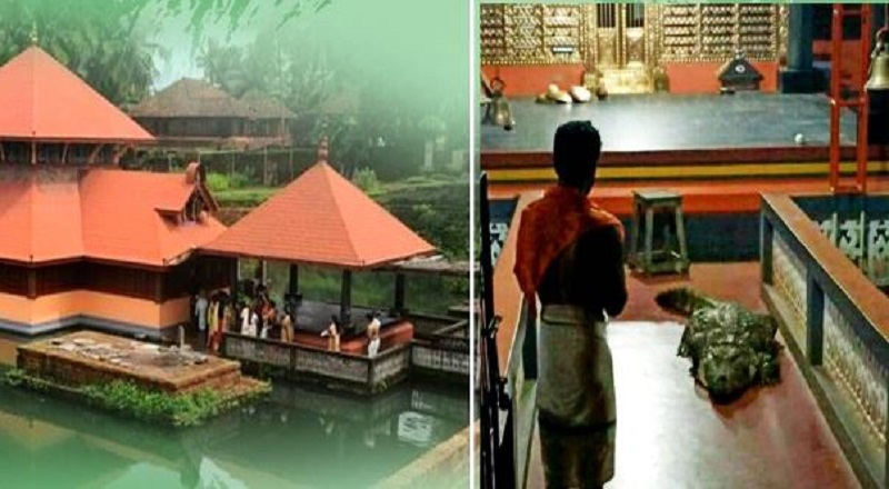 Kerala Ananta Padmanabha Temple's “Babiya” is No More