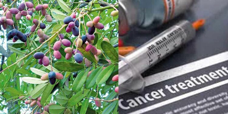 Indian Government approves cancer drug developed by Bangalore doctors