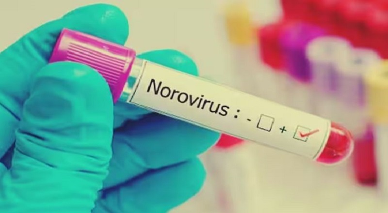 Norovirus cases found in students: school closed temporarily