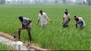 PM Kisan: Narendra Modi Government bumper gift farmer