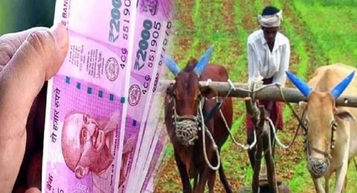 PM Kisan Scheme: Big shock for farmers, 81000 beneficiaries out from scheme