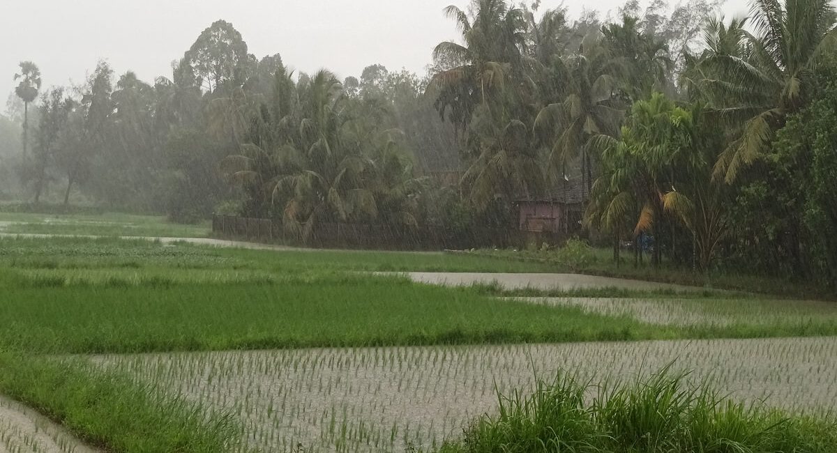 Weather Report Monsoon enter Kerala today; will enter Karnataka soon
