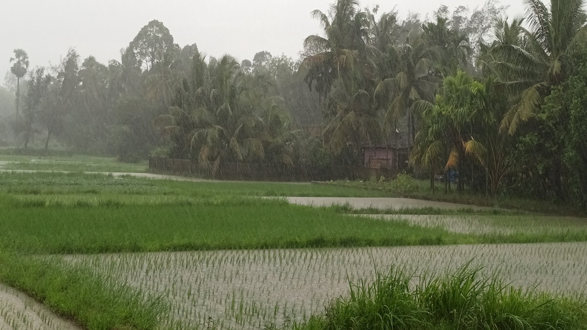 Weather Report Monsoon enter Kerala today; will enter Karnataka soon