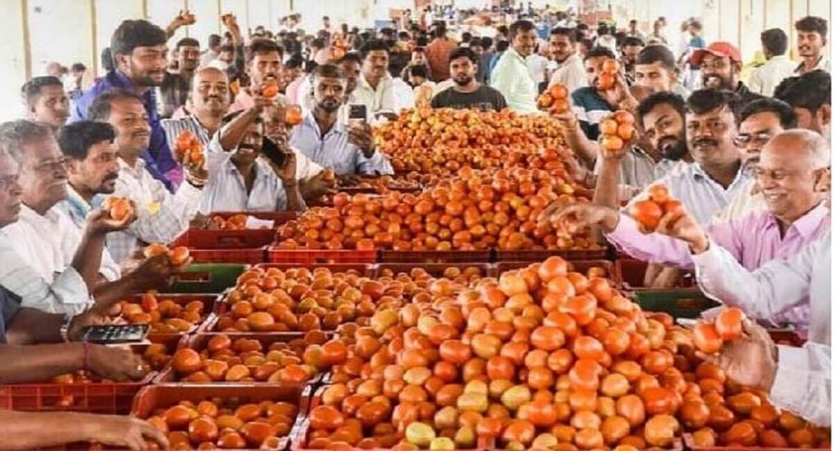 Tomato Price: Farmer become crorepati in month after selling tomatoes