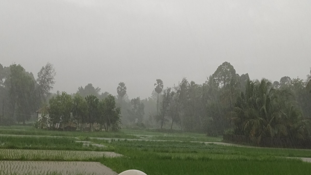 Weather Update Heavy rainfall to continue till August 2 in these states