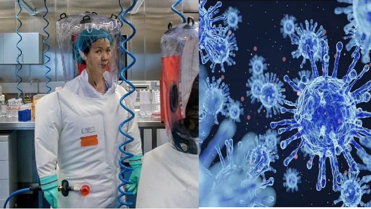 Another Corona virus coming soon: Chinese virologist Big Warning
