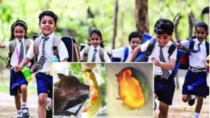 Nipah Virus Scare: Announced holiday for School and colleges till September 24
