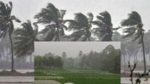 Cyclone Alert: Heavy Rainfall in these states for next 5 days