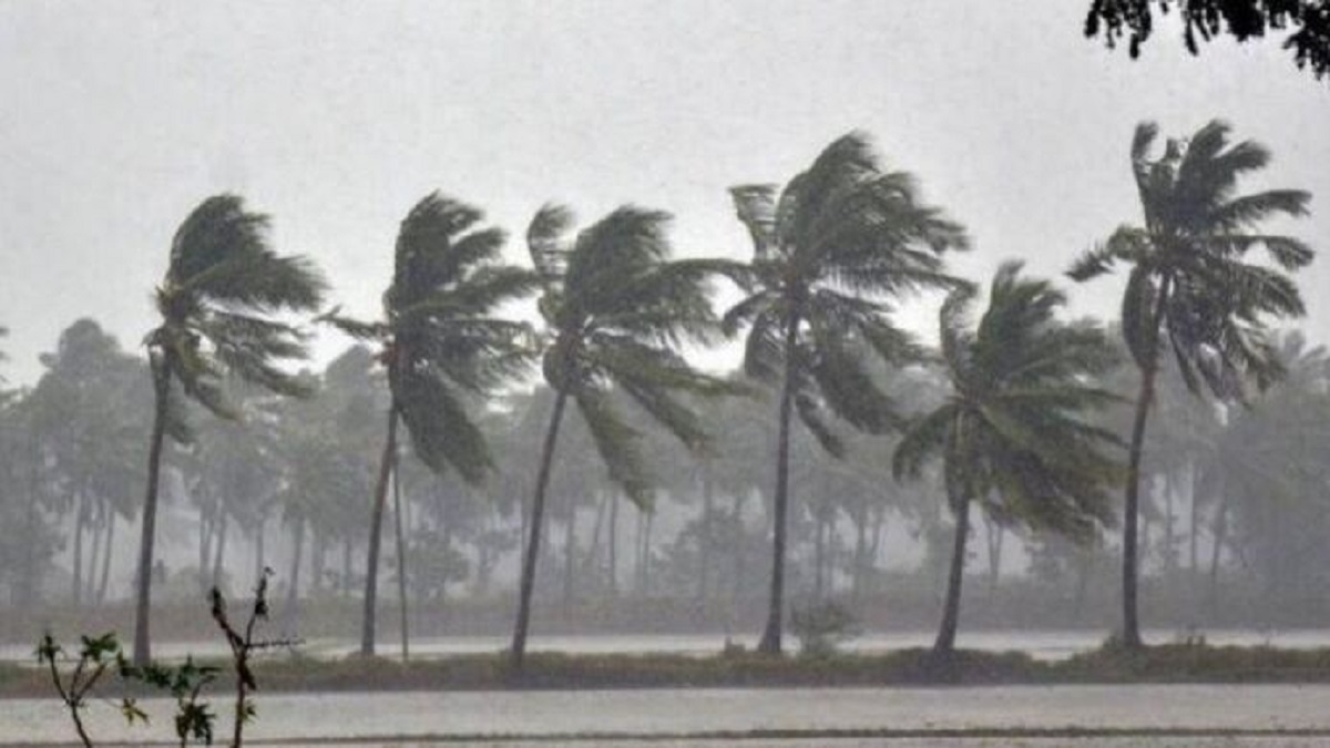 Karnataka Rains: Heavy rains in these 12 districts issued yellow alert