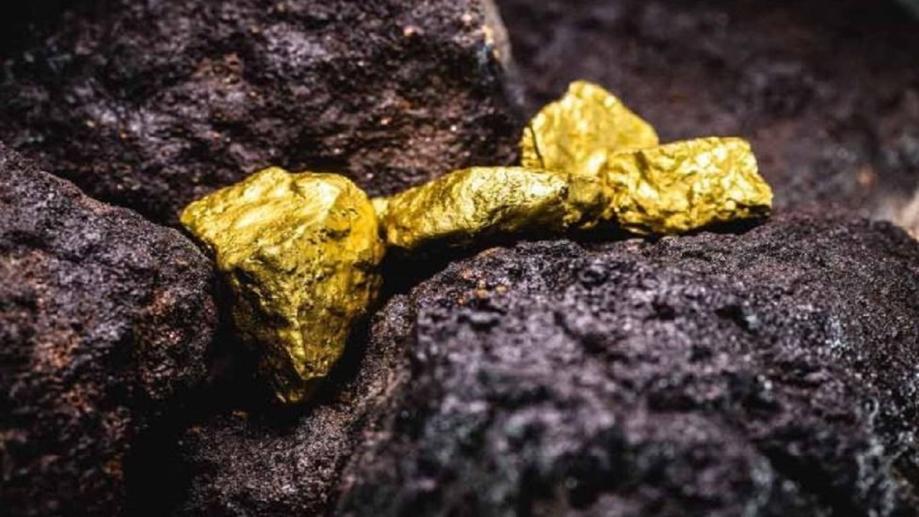 Gold deposits found in Chikkamagaluru: seeking permission for exploration work