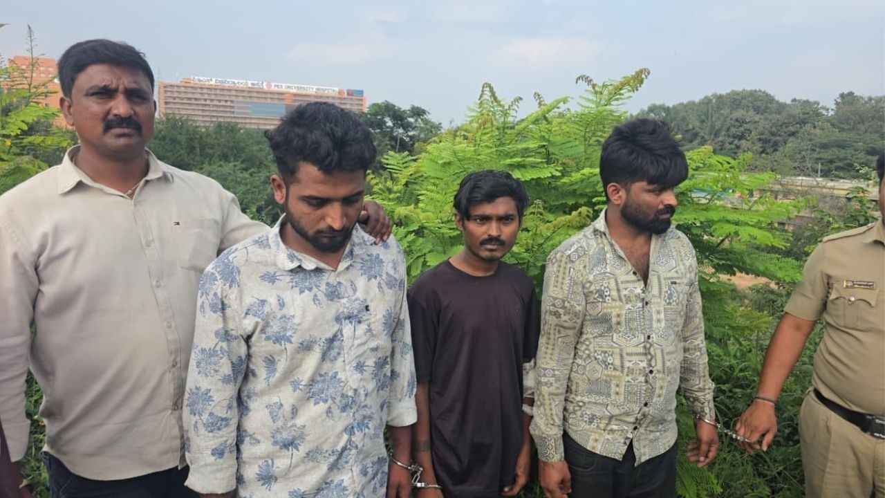 Brother held for murdering sibling in Anekal after years of harassment and theft
