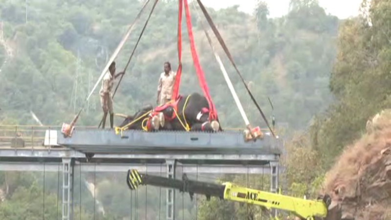 Wild elephant rescued from deep canal near Shivanasamudra in Malavalli